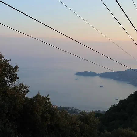 Montallegro Hotel Rapallo