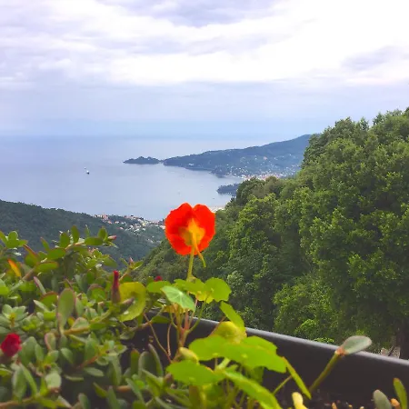 Montallegro Ξενοδοχείο Ραπάλο
