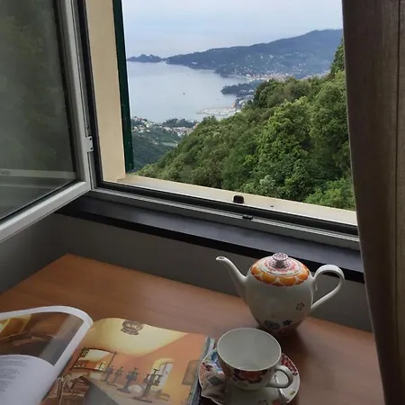 Hotel Montallegro Rapallo