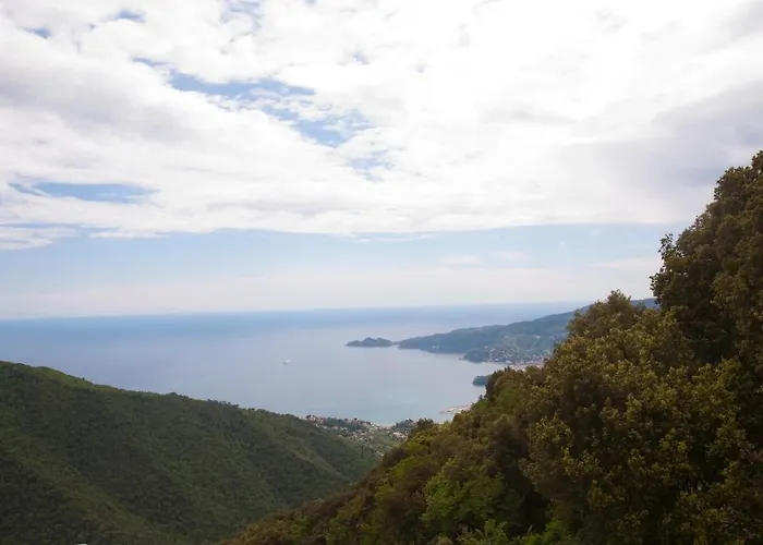 Montallegro 2* Rapallo