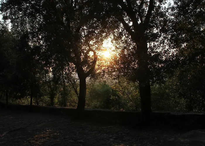 Montallegro 2* Рапалло