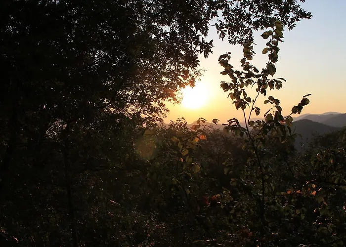 Отель Montallegro 2*