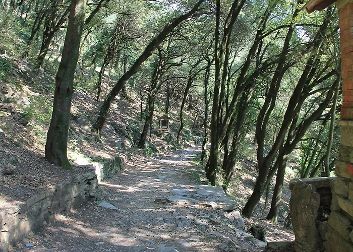 Отель Montallegro