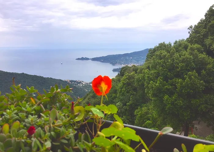 Montallegro Hotel Rapallo