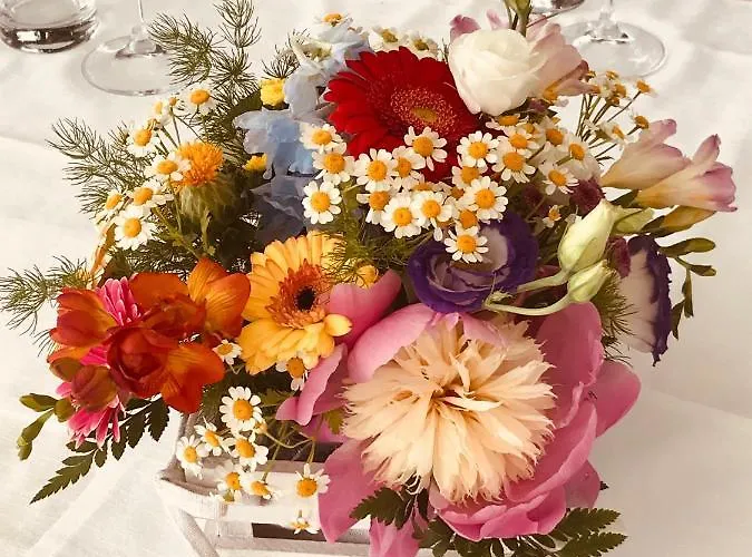 Отель Montallegro Рапалло