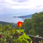 Montallegro Hotel Rapallo