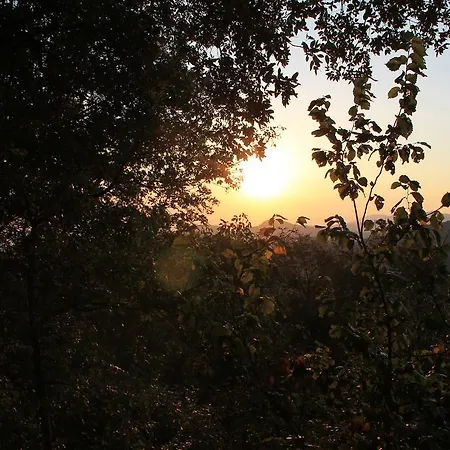 Hotel Montallegro 2*