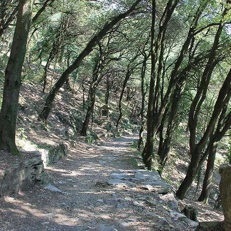 Ξενοδοχείο Montallegro