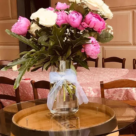 Montallegro 2* Ραπάλο