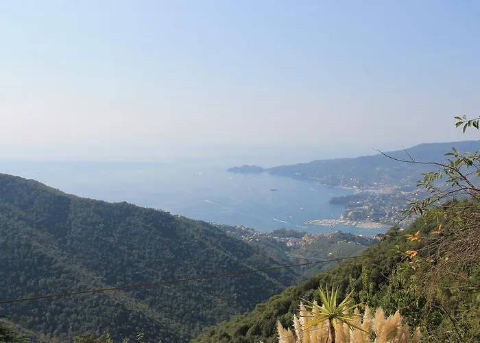 Montallegro 2* Rapallo